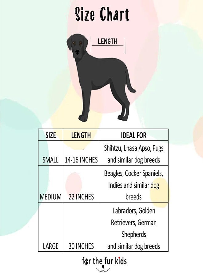 بوكسو لعبة قطة إلكترونية ناطقة من بوكسو للأطفال، لعبة موسيقية مثالية مع مزايا إضافية للمرح - Image 2